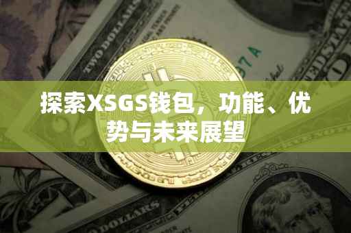 探索XSGS钱包，功能、优势与未来展望