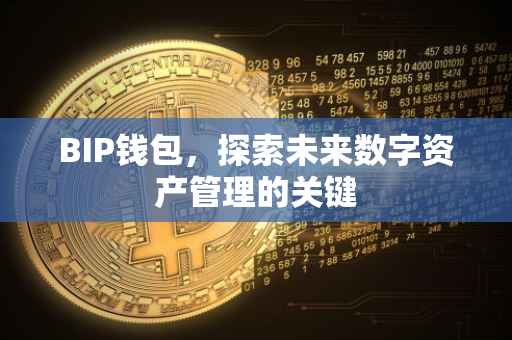 BIP钱包，探索未来数字资产管理的关键