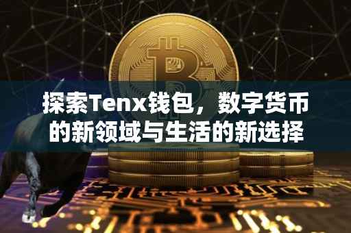 探索Tenx钱包，数字货币的新领域与生活的新选择