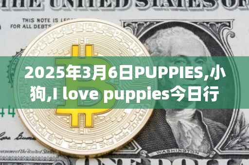 2025年3月6日PUPPIES,小狗,I love puppies今日行情最新价格