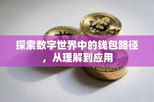 探索数字世界中的钱包路径，从理解到应用