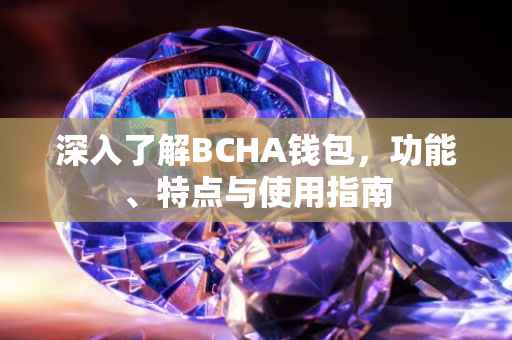 深入了解BCHA钱包，功能、特点与使用指南