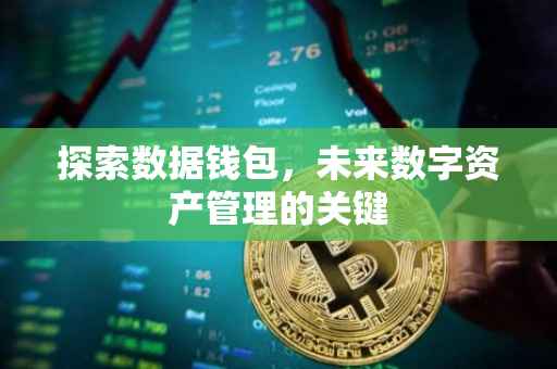 探索数据钱包，未来数字资产管理的关键