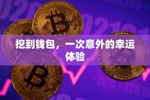 挖到钱包，一次意外的幸运体验