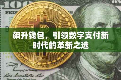 飙升钱包，引领数字支付新时代的革新之选
