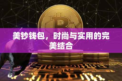美钞钱包，时尚与实用的完美结合