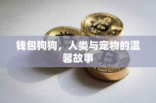 钱包狗狗，人类与宠物的温馨故事