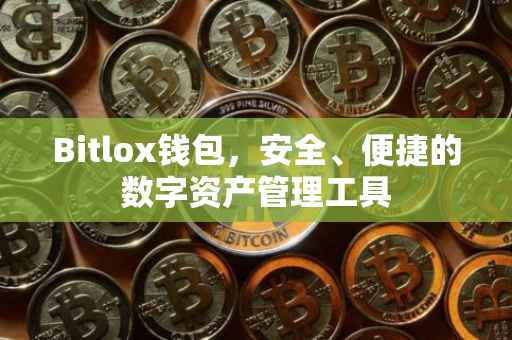Bitlox钱包，安全、便捷的数字资产管理工具