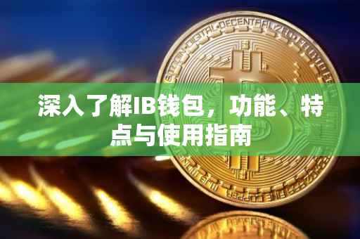 深入了解IB钱包，功能、特点与使用指南