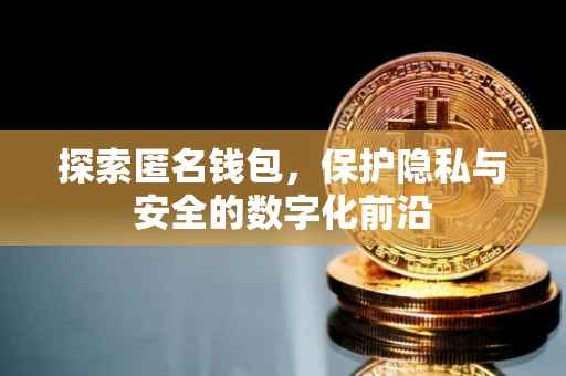 探索匿名钱包，保护隐私与安全的数字化前沿