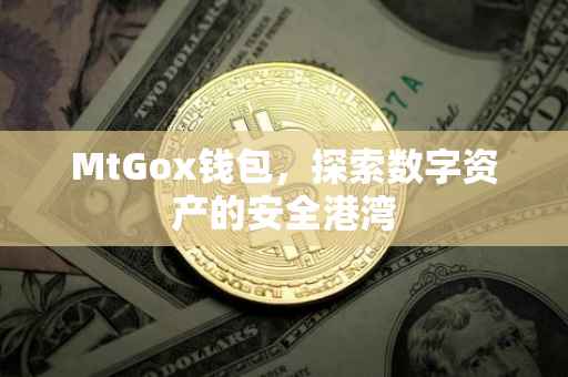 MtGox钱包，探索数字资产的安全港湾