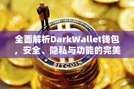 全面解析DarkWallet钱包，安全、隐私与功能的完美结合