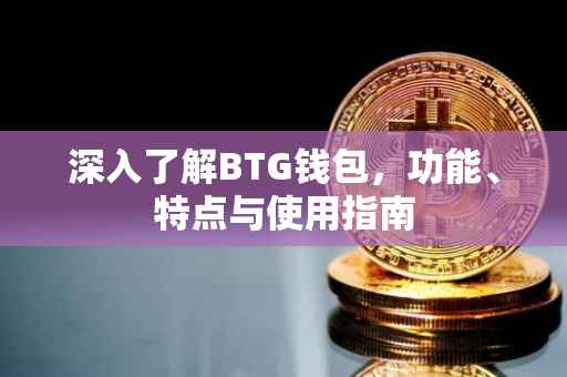 深入了解BTG钱包，功能、特点与使用指南