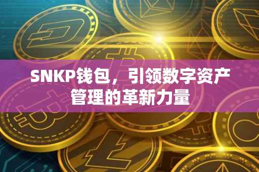 SNKP钱包，引领数字资产管理的革新力量