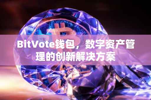 BitVote钱包，数字资产管理的创新解决方案
