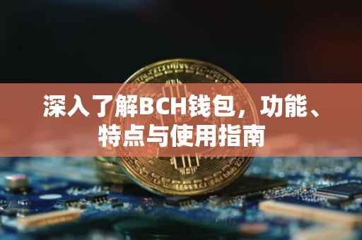深入了解BCH钱包，功能、特点与使用指南