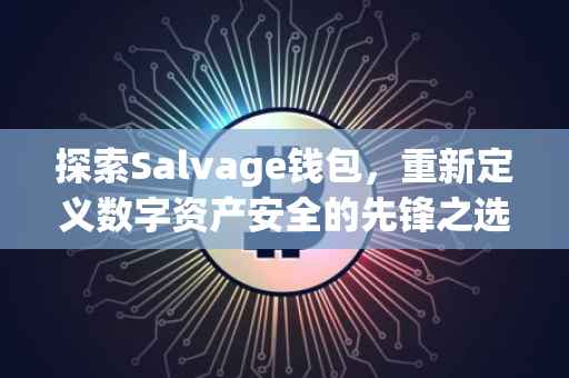 探索Salvage钱包，重新定义数字资产安全的先锋之选