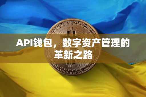 API钱包，数字资产管理的革新之路