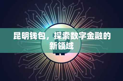 昆明钱包，探索数字金融的新领域