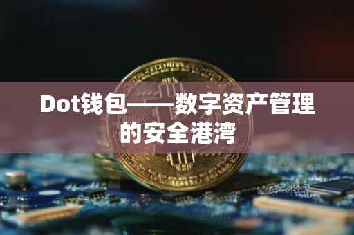 Dot钱包——数字资产管理的安全港湾