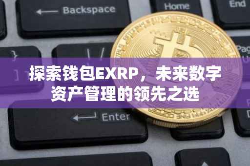探索钱包EXRP，未来数字资产管理的领先之选