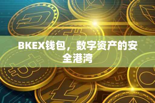 BKEX钱包，数字资产的安全港湾