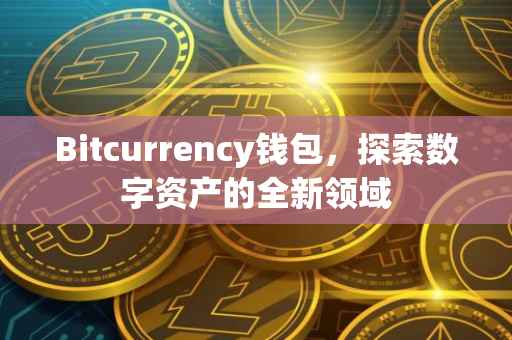 Bitcurrency钱包，探索数字资产的全新领域