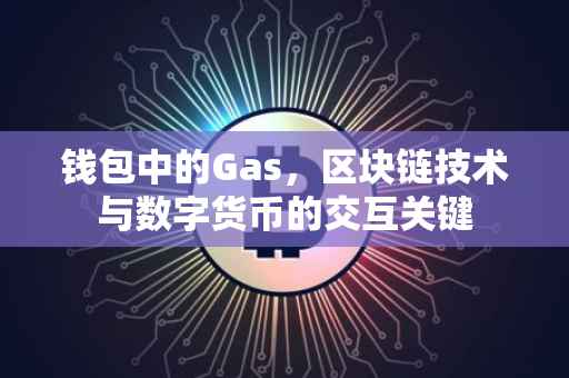 钱包中的Gas，区块链技术与数字货币的交互关键