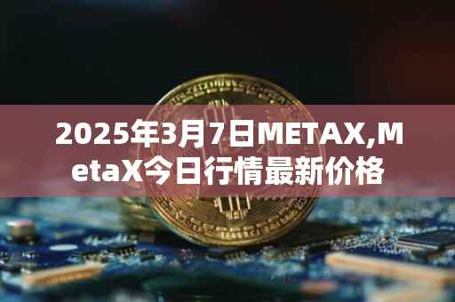 2025年3月7日METAX,MetaX今日行情最新价格