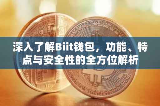 深入了解Biit钱包，功能、特点与安全性的全方位解析