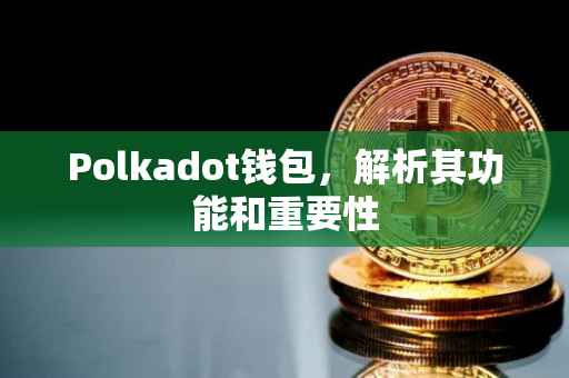 Polkadot钱包，解析其功能和重要性