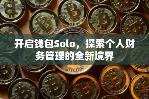开启钱包Solo，探索个人财务管理的全新境界