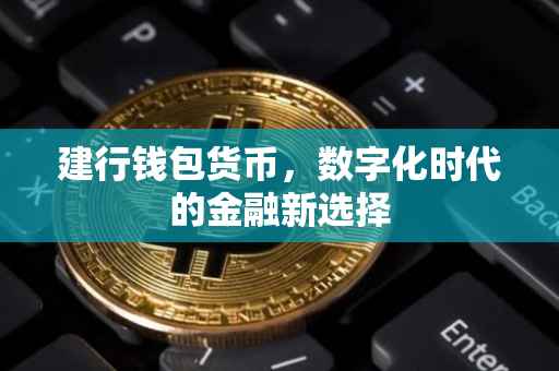 建行钱包货币，数字化时代的金融新选择
