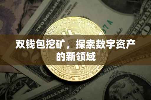双钱包挖矿，探索数字资产的新领域