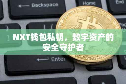 NXT钱包私钥，数字资产的安全守护者