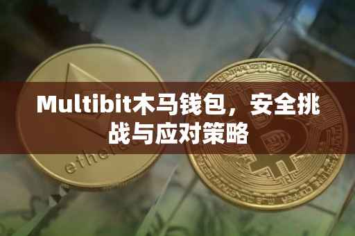 Multibit木马钱包，安全挑战与应对策略