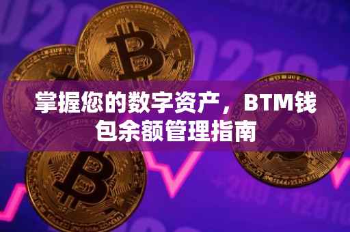 掌握您的数字资产，BTM钱包余额管理指南