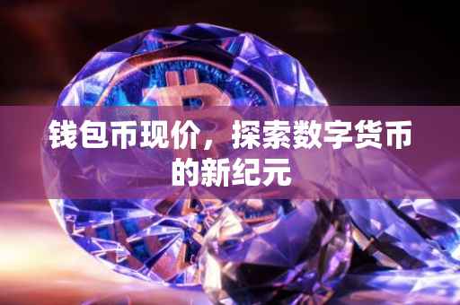 钱包币现价，探索数字货币的新纪元