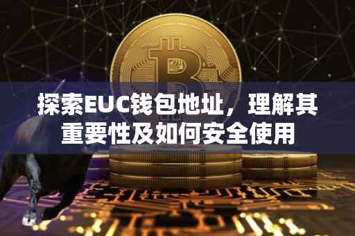 探索EUC钱包地址，理解其重要性及如何安全使用