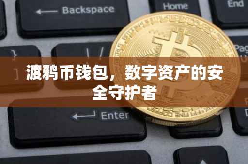 渡鸦币钱包，数字资产的安全守护者
