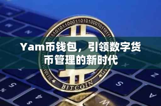 Yam币钱包，引领数字货币管理的新时代