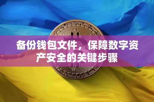 备份钱包文件，保障数字资产安全的关键步骤