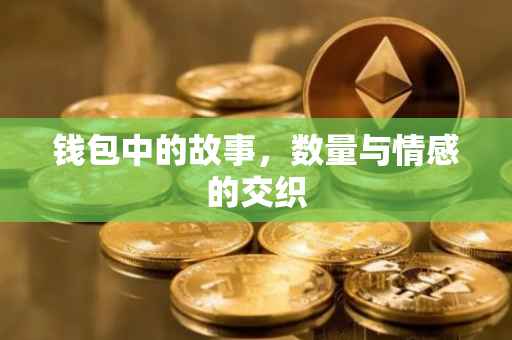 钱包中的故事，数量与情感的交织