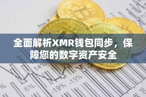全面解析XMR钱包同步，保障您的数字资产安全