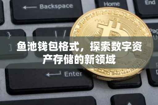 鱼池钱包格式，探索数字资产存储的新领域