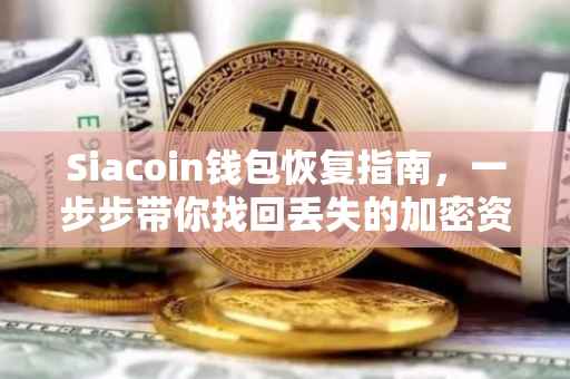 Siacoin钱包恢复指南，一步步带你找回丢失的加密资产