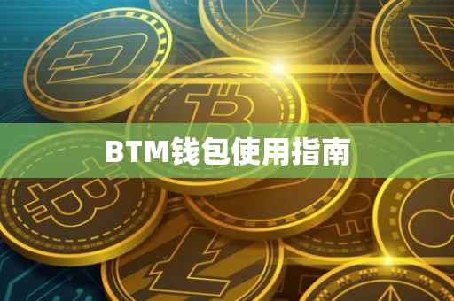 BTM钱包使用指南
