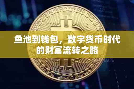 鱼池到钱包，数字货币时代的财富流转之路