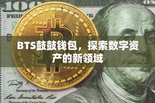 BTS鼓鼓钱包，探索数字资产的新领域
