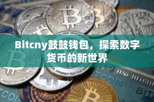 Bitcny鼓鼓钱包，探索数字货币的新世界